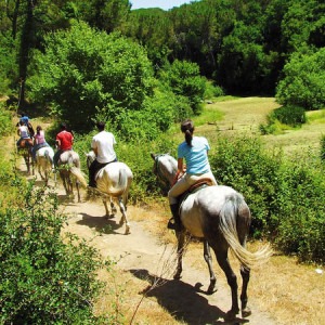 Escursioni A Cavallo