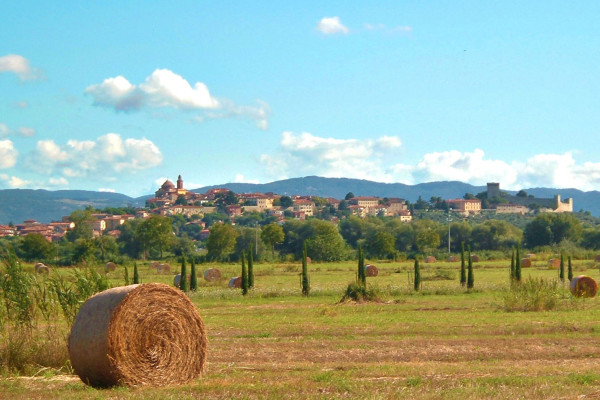 Castiglione Del Lago 8