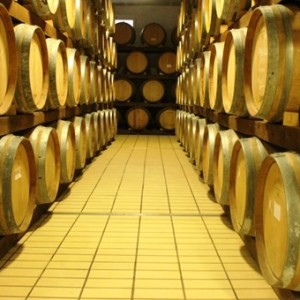 Cantina Del Trasimeno