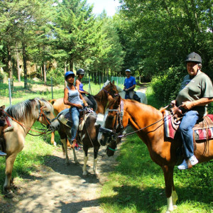 Escursioni A Cavallo