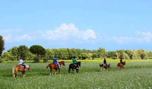  Horse riding excursions
