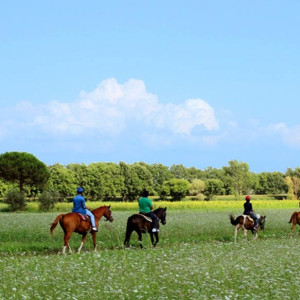 Escursioni A Cavallo Sul Trasimeno